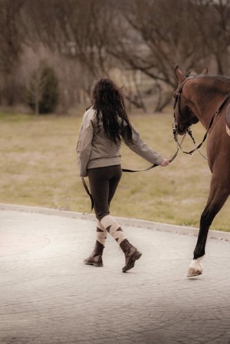Lexhis Sara Breeches