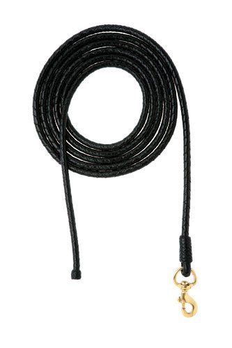 Plaited Leather Lead Rope