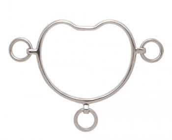 Stainless Steel Anti-Rear Bit