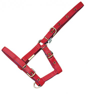 Foal Nylon Halter
