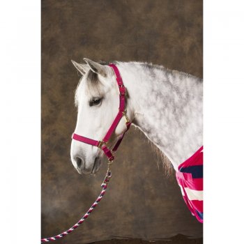Cabeção Equi-théme Stripe