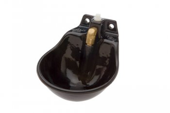 Cast Iron Drinking Bowl