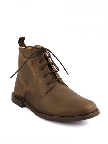 Botins Celeris Aurora