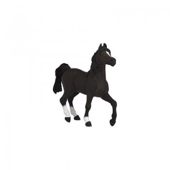 PAPO Arabian horse