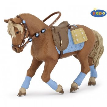 PAPO Cavalo de Jovem Cavaleiro