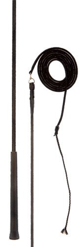 Nylon whip with swivel