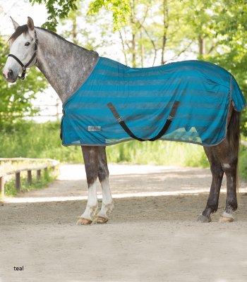 Anti-fly Sheet Economic