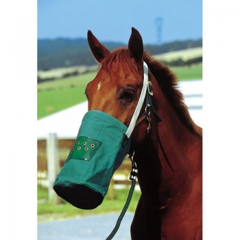 Feed Bag, Canvas