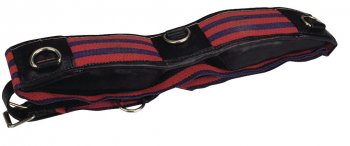 APOLLO Web roller with rings