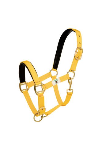 DOUBLE NYLON HALTER WITH SYNTHETIC LEATHER REINFORCEMENT